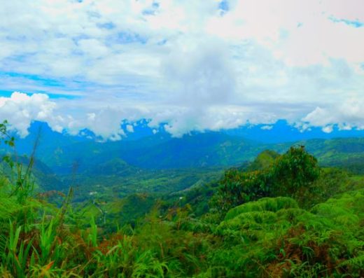 Pauna, Boyacá