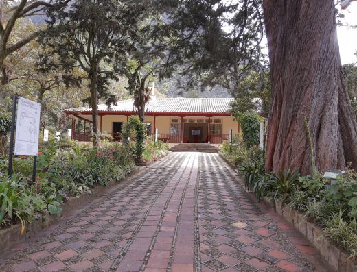 Entrada principal de la Casa Museo Quinta de Bolívar en Bogotá, con portón verde, jardín tropical, paredes blancas y Monserrate al fondo.