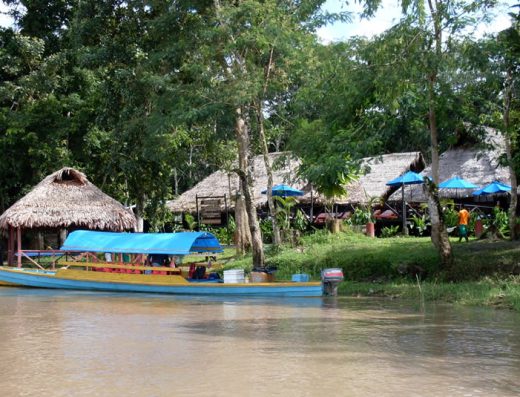 Selva amazónica del Parque Nacional Natural Amacayacu con río, vegetación densa y biodiversidad en Leticia, Colombia.