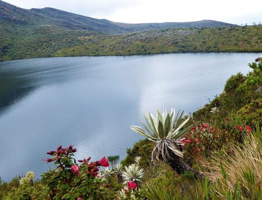 Parque Nacional Natural Chingaza con lagunas y paisajes de páramo en Ubalá.