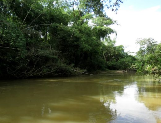 “Río Guayabero atravesando la selva del Parque Nacional Natural Tinigua, con grandes rocas y bosque tropical denso en las riberas.”