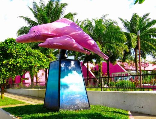 Leticia — La Puerta al Amazonas Colombiano y la Selva Más Biodiversa del Planeta