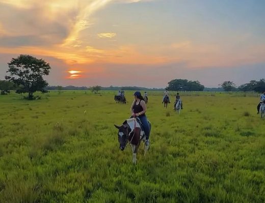 🌅 Atardeceres y Cabalgatas — El Alma de la Ruta del Llano