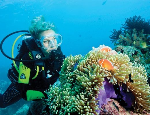 🤿 Buceo en San Andrés — El Jardín Submarino del Caribe