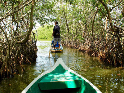 🛶 La Boquilla — Tradición Afro, Manglares y Sabor en Cartagena