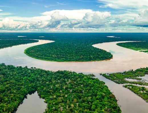 Leticia — Puerta de Entrada al Corazón de la Selva Amazónica 🦜🌿