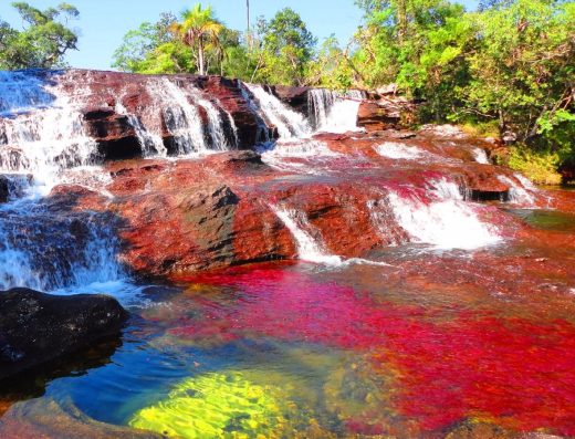 🌈 Caño Cristales — El Río de los Siete Colores
