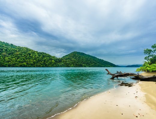 🐳 Bahía Solano — Inmensidad y Biodiversidad en el Chocó