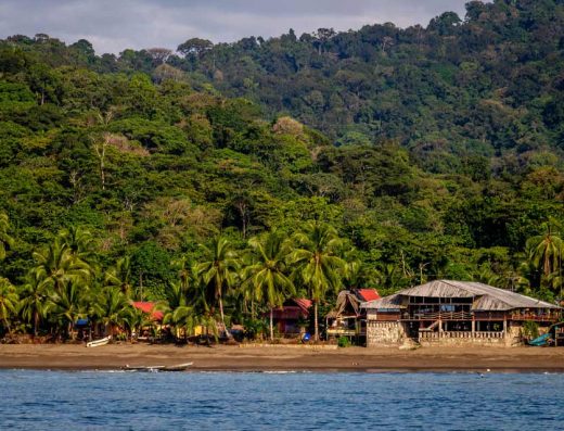 Nuquí — Ballenas Jorobadas y Selva del Pacífico