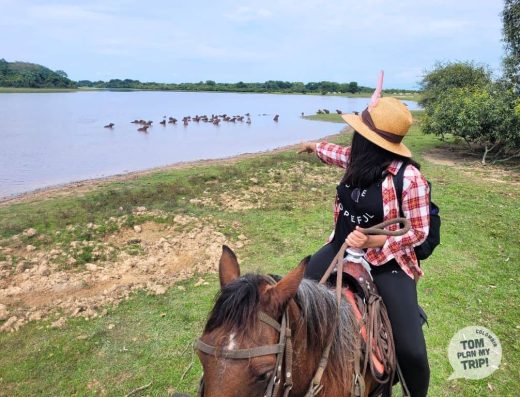 Yopal — La Capital Ganadera de Casanare y el Turismo de Llano