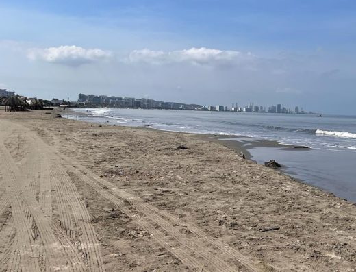 Canoa navegando por túneles de manglares en La Boquilla, Cartagena, con cangrejos en las ramas y agua turquesa