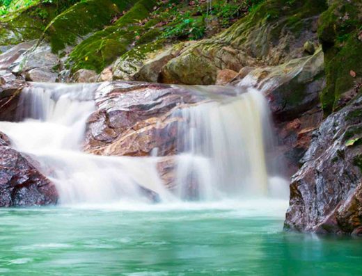 Minca – Pueblo de Montana, Cascadas y Cafe en la Sierra Nevada 🌿