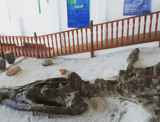 Museo Comunitario el Fósil