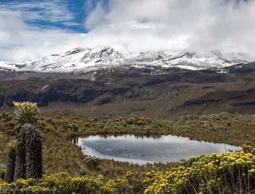 Parque Nacional Natural Los Nevados — Páramo, Frailejones y Nieve en los Andes Colombianos
