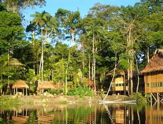 Parque Nacional Natural Amacayacu — Selva Amazónica y Delfines Rosados en Leticia
