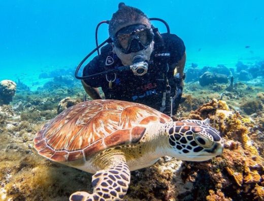 🤿 Buceo en San Andrés — El Jardín Submarino del Caribe