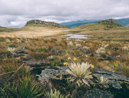 🥾 Caminata por el Páramo de Sumapaz — Silencio en las Alturas