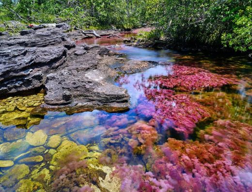 🌈 Caño Cristales — El Río de los Siete Colores