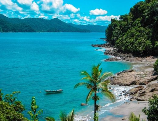 Nuquí — Ballenas Jorobadas y Selva del Pacífico