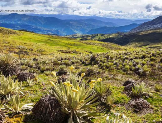 🥾 Caminata por el Páramo de Sumapaz — Silencio en las Alturas