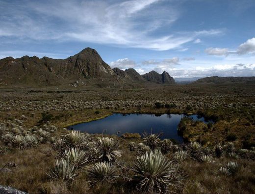 🥾 Caminata por el Páramo de Sumapaz — Silencio en las Alturas
