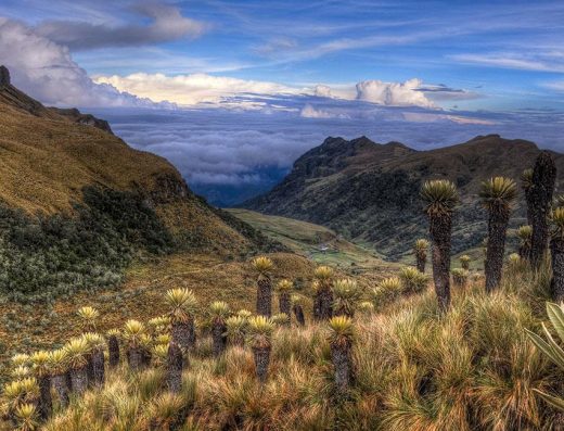 ❄️ PNN Los Nevados — Majestuosidad de los Andes