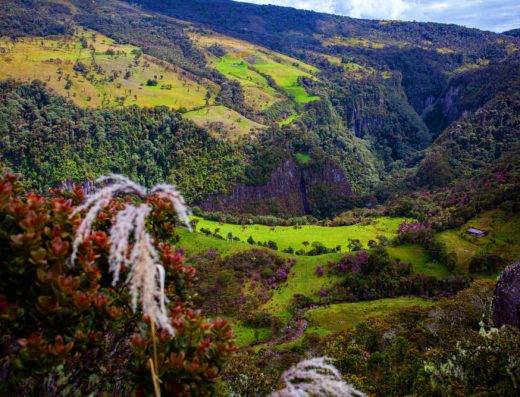 Parque Nacional Natural Puracé — Volcán Activo, Frailejones y Páramo Andino
