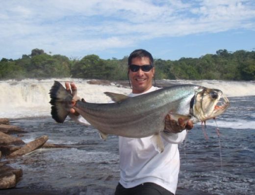 Pesca Deportiva en los Llanos Orientales — Tigre, Payara y Pavón en la Orinoquía