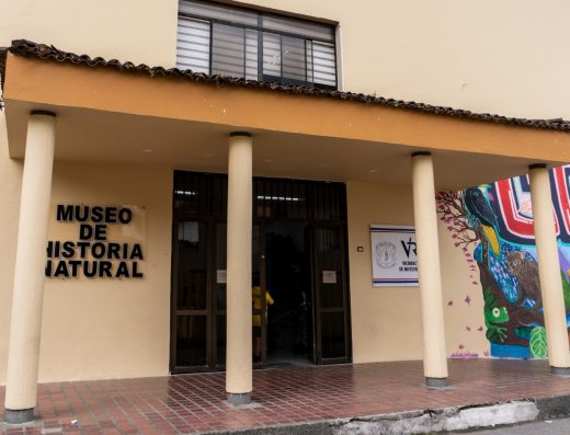 🦖 Museo de Historia Natural — Biodiversidad y Ciencia en Popayán