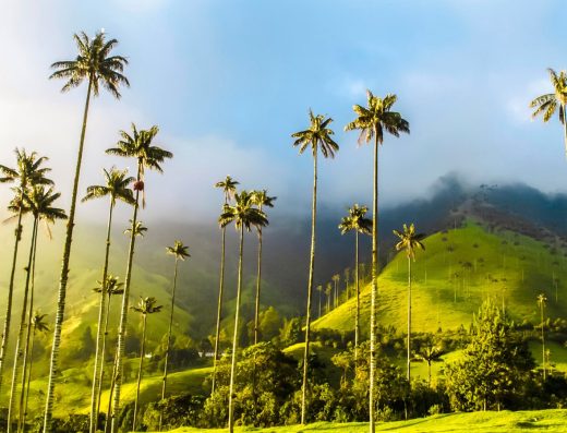 Salento y el Valle de Cocora — Paisaje Cultural Cafetero 🌴☕