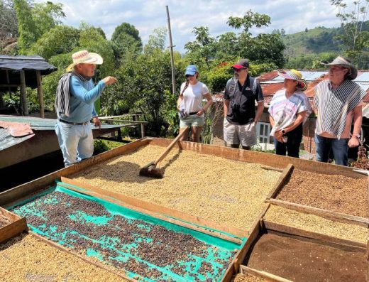 Tour del Café en el Eje Cafetero — De la Siembra a la Taza en Colombia