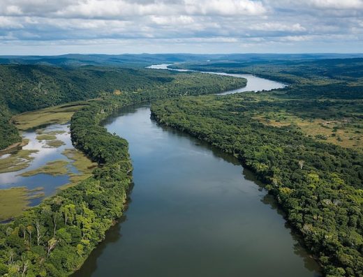 Leticia — Puerta de Entrada al Corazón de la Selva Amazónica 🦜🌿