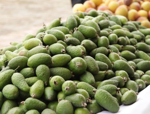 🍅 Sabores de Boyacá – 2 Días de Gastronomía y Campo