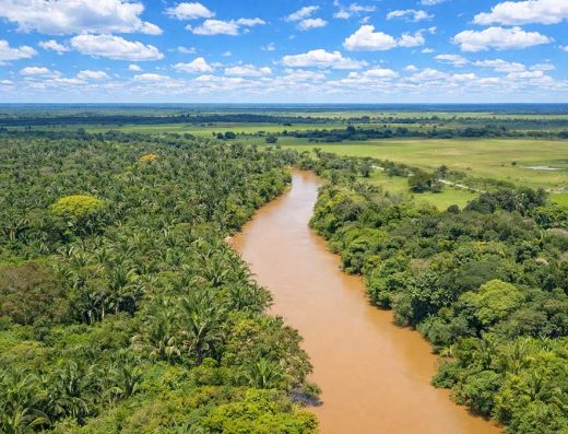 qué hacer en Maní, turismo en Maní Casanare, safari llanero, turismo de naturaleza en Casanare, avistamiento de fauna Colombia, cultura llanera
