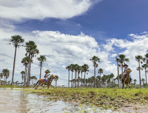 Descubre Paz de Ariporo, Casanare, un destino de sabanas infinitas, fauna silvestre, cultura llanera y experiencias rurales únicas en los Llanos Orientales.
