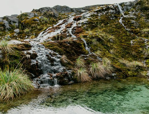 Descubre Villamaría, Caldas, un destino rodeado de montañas, termales y paisajes cafeteros, ideal para explorar el Parque Nacional Natural Los Nevados.