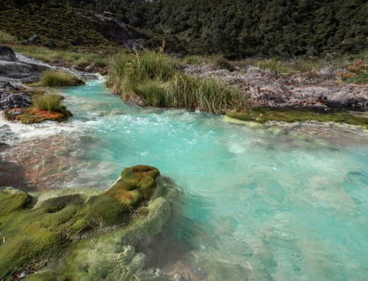 Descubre Puracé, Cauca, un destino de páramos, aguas termales, volcanes y biodiversidad. Explora el Parque Nacional Natural Puracé y vive una experiencia única.