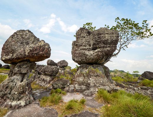 San José del Guaviare, Serranía de La Lindosa, qué hacer en Guaviare, pinturas rupestres de Colombia, turismo de naturaleza, destinos emergentes de Colombia