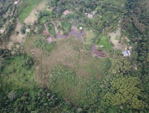 Descubre Cacahual, Guainía, un destino amazónico rodeado de selvas, ríos y comunidades indígenas, ideal para el ecoturismo y el turismo comunitario.