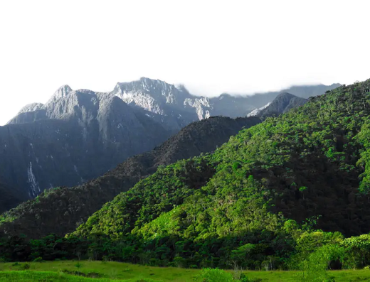 qué hacer en Santuario Risaralda, turismo en Santuario, Santuario Colombia, Parque Nacional Natural Tatamá, avistamiento de aves Risaralda, turismo cafetero, naturaleza en Risaralda