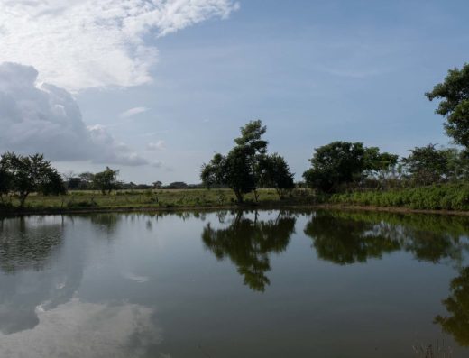 Descubre San Antonio de Palmito, Sucre, un destino de cultura, tradición Zenú, artesanías, gastronomía y paisajes rurales del Caribe colombiano.