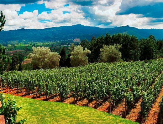 La Vinoteca Marqués de Puntalarga, Nobsa, Boyacá