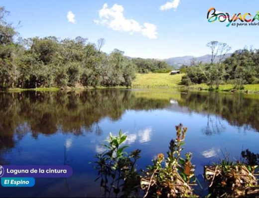 El Cardón, El Espino, Boyacá