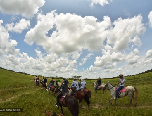 Cabalgata en los Llanos Orientales — La Tradición Llanera de Colombia