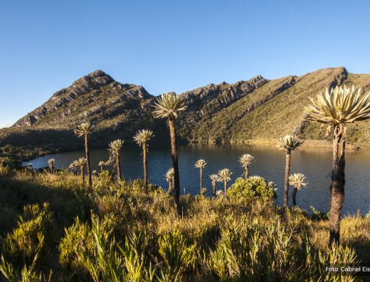 💧 PNN Chingaza — El Santuario del Agua y la Neblina