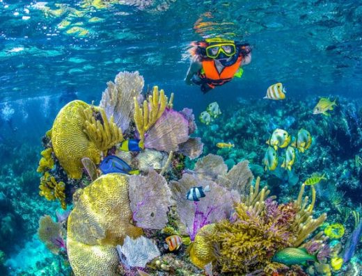 Islas del Rosario — El Parque Nacional Natural de Corales del Caribe Colombiano