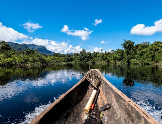 🚢 Río Amazonas — Navegando la Arteria del Mundo