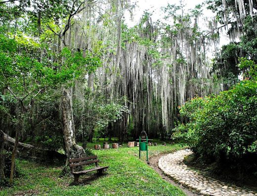 🌳 Parque Natural El Gallineral — El Corazón de San Gil