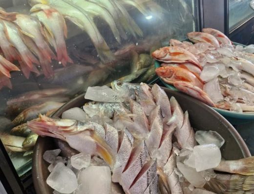 Don Fidel | Pescados y Mariscos del Caribe, Santa Marta