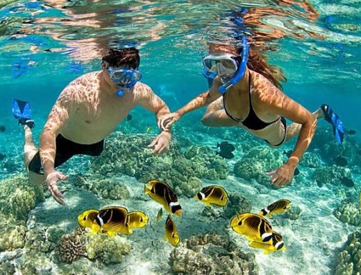 Turistas haciendo snorkel en aguas cristalinas de las Islas del Rosario con peces tropicales y arrecifes de coral